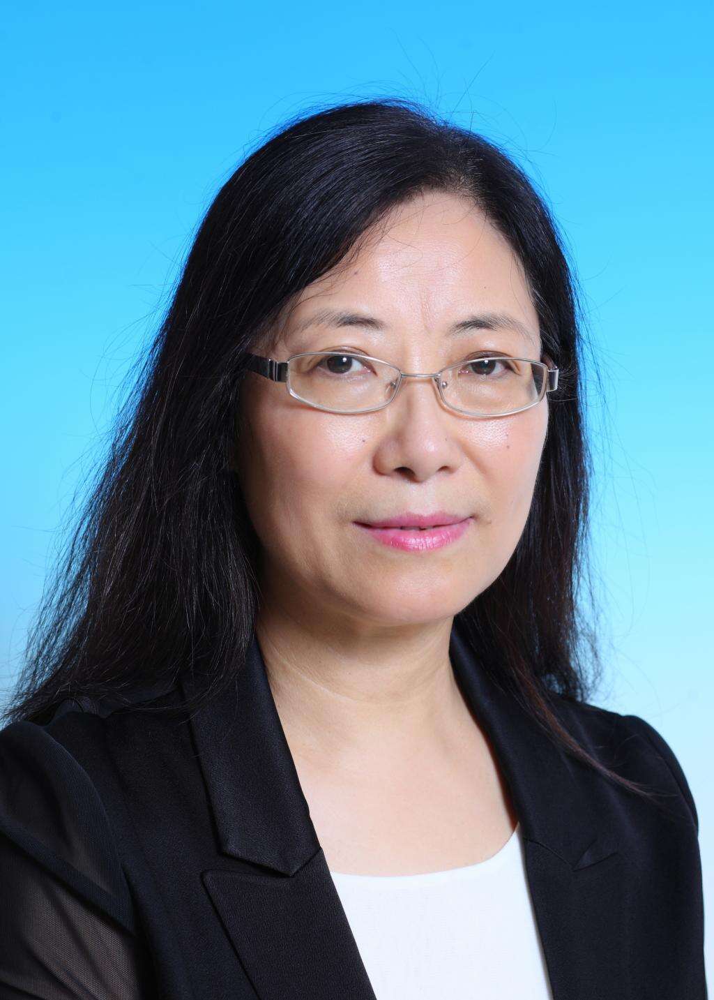 黨代會(huì)進(jìn)行時(shí)