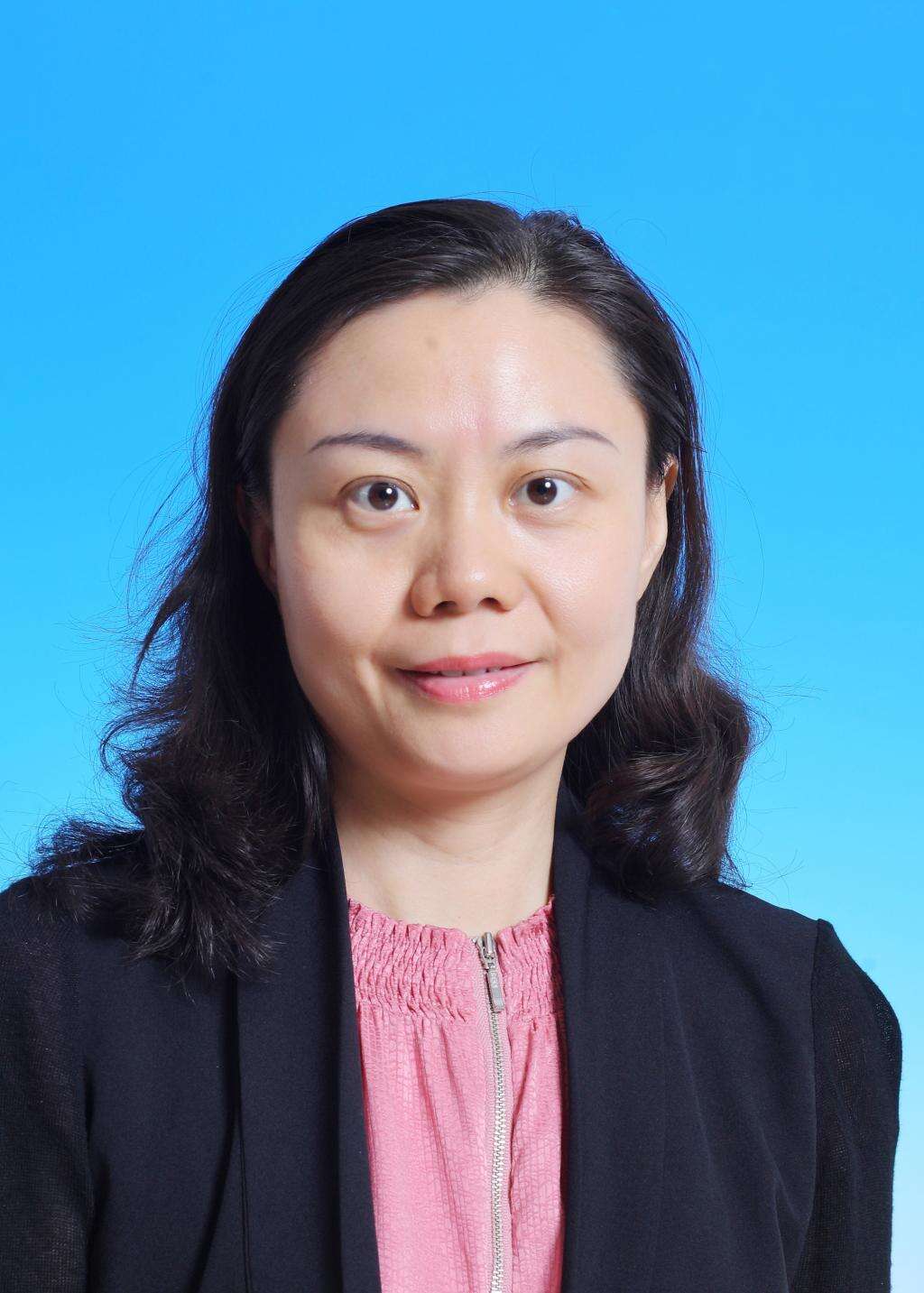 黨代會(huì)進(jìn)行時(shí)