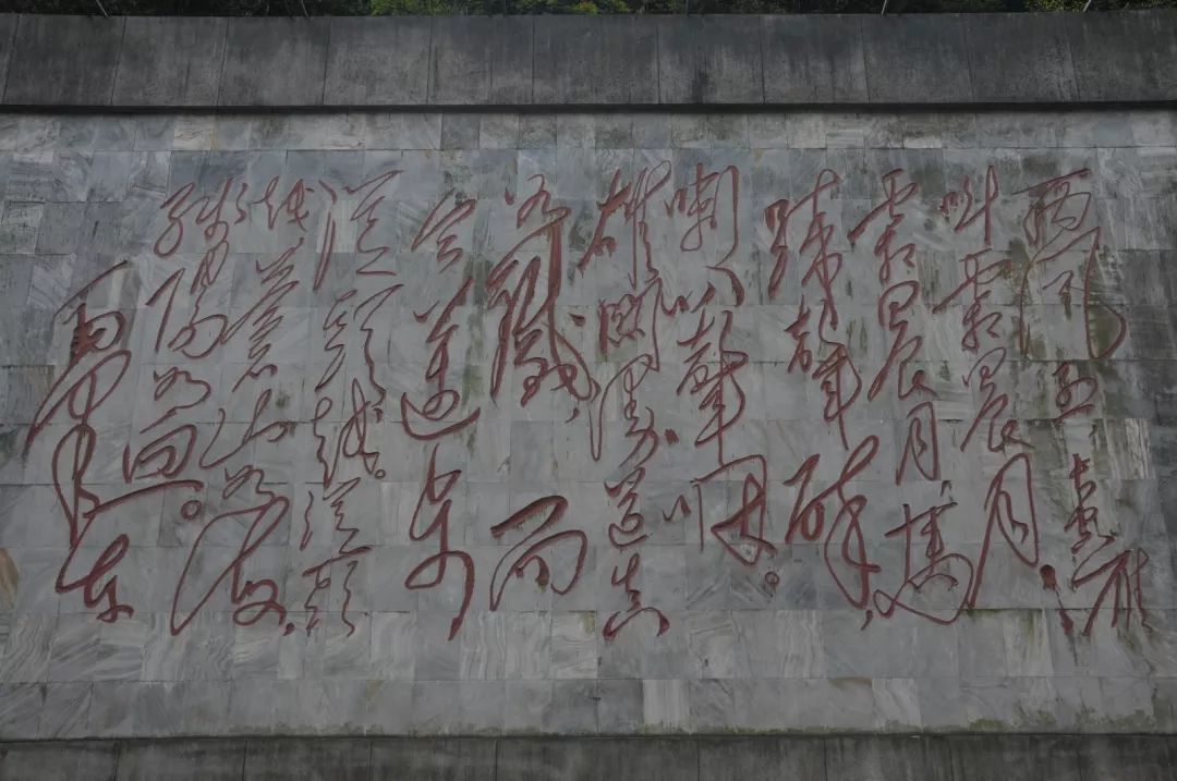 1603952094446214.jpg 2.jpg