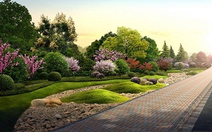 1605775007429277.jpg 17.jpg