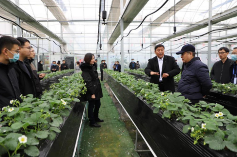 全省現(xiàn)代高效農(nóng)業(yè)新舊動(dòng)能轉(zhuǎn)換專題培訓(xùn)班在山東師范大學(xué)開(kāi)班 全省現(xiàn)代高效農(nóng)業(yè)新舊動(dòng)能轉(zhuǎn)換專題培訓(xùn)班在山東師范大學(xué)開(kāi)班