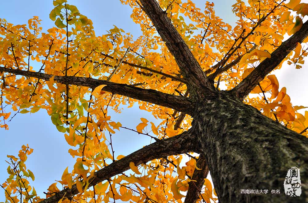 秋高氣爽好讀書