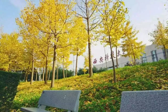 西安科技大學校園一角