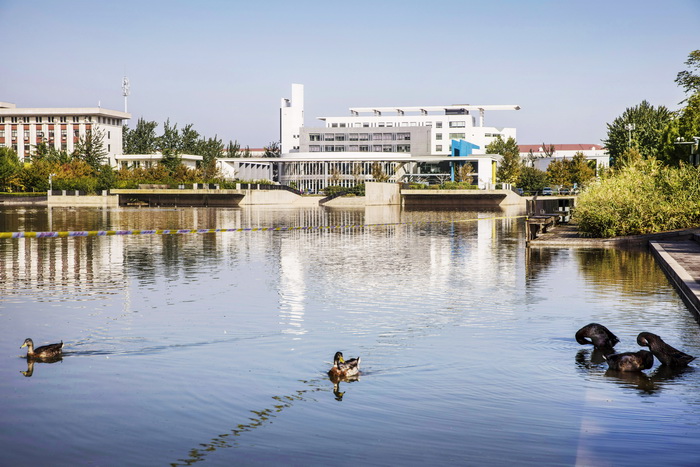 天津財(cái)經(jīng)大學(xué)校園風(fēng)光